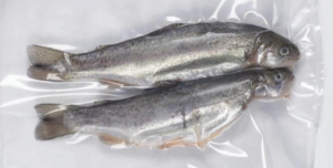 horizontal flow wrap packaging machine