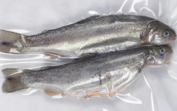 horizontal flow wrap packaging machine