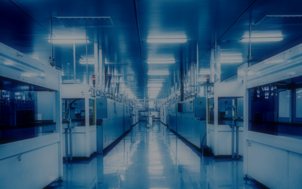 commercial automated vacuum packaging