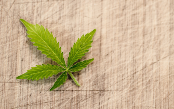 marijuana packaging equipment